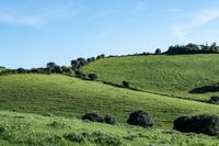 bearbeitet_DSC4707 Kopie