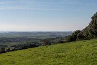 bearbeitet_DSC4743 Kopie