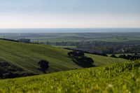 bearbeitet_DSC4759 Kopie