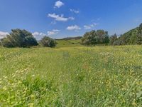 terreno Patria 3 hectarias_4_extracted-image_1652426526482