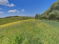 terreno Patria 3 hectarias_5_extracted-image_1652426564608